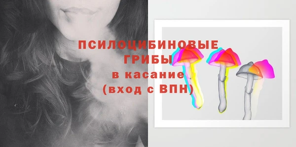 ECSTASY Инта