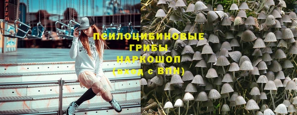 ECSTASY Абаза